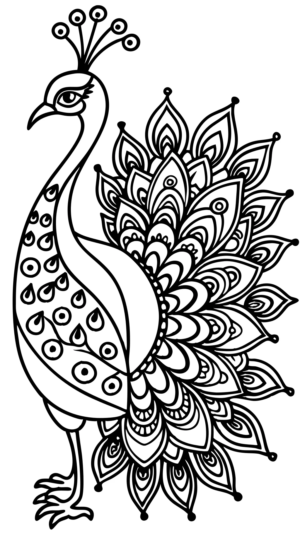 coloring page peacock